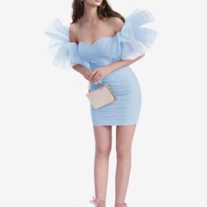 Angel Ruffle Mini Dress