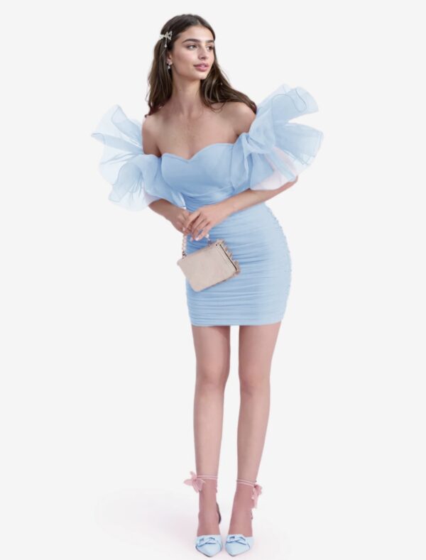 Angel Ruffle Mini Dress - Image 1