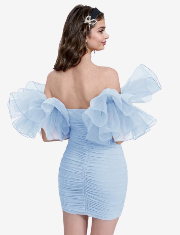Angel Ruffle Mini Dress - Image 7